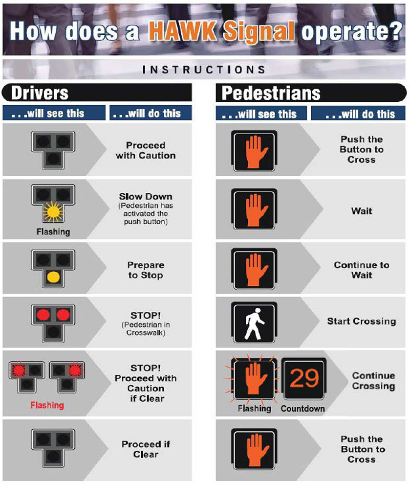 hawk chart